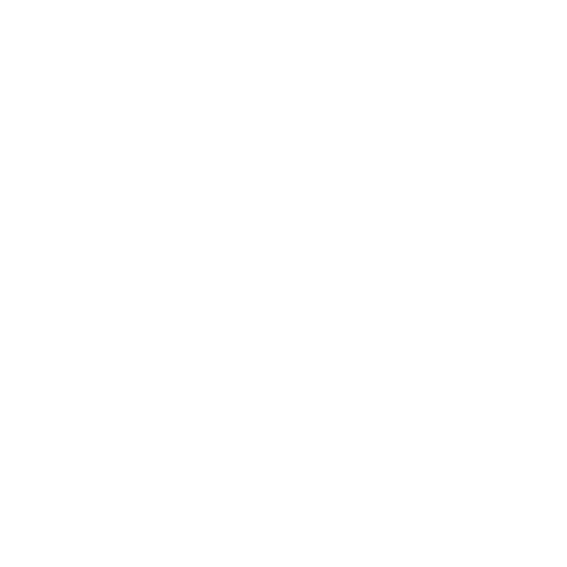 La magie de Noël
