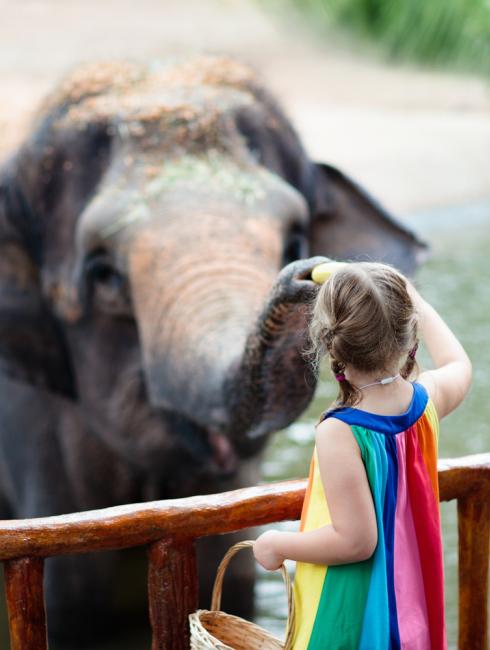 Zoo avec le Chèque-vacances connect