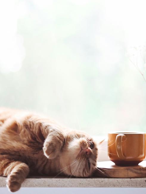 Penser aux récompenses matérielles