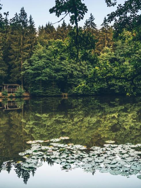 nuit sur un lac auvergne ANCV