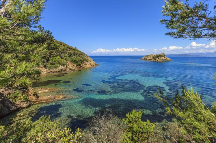 L’île de Port-Cros