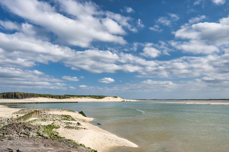 Explorer la Baie d’Authie