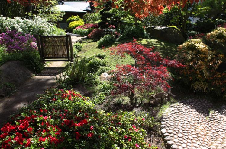 jardin japonais musée albert kahn ANCV