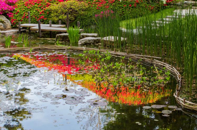 visiter jardin japonais et musée à paris ANCV