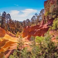 NATURE SAUVAGE FRANCE 