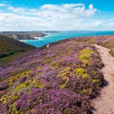 Que visiter en Bretagne ? Les coups de cœur du Guide