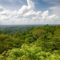 Visiter la Guyane française avec les Chèques-Vacances