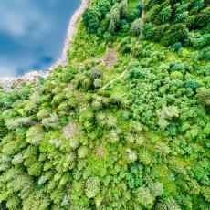 Nos 4 idées de randonnées dans les Vosges avec les Chèques-Vacances