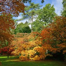 visiter les jardins japonais à paris ANCV