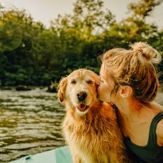 Partir en vacances avec son chien