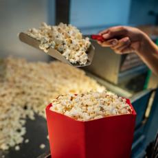 films cultes à (re)voir cette année