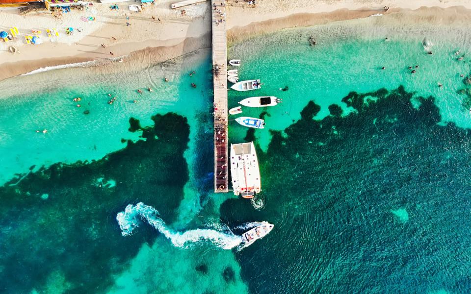 observer animaux marins Martinique cheque vacances