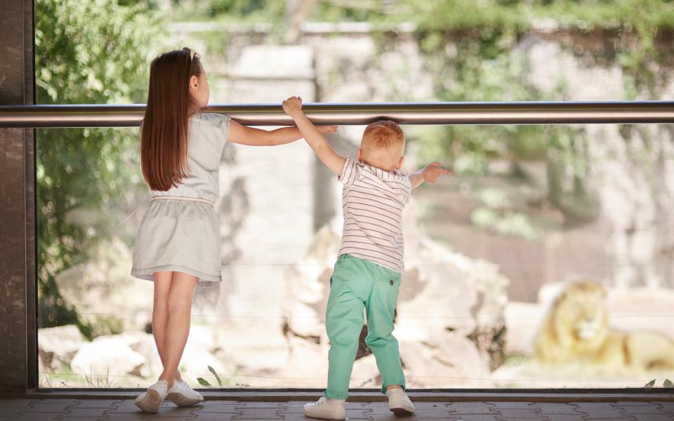 zoo de beauval avec les Chèques-Vacances