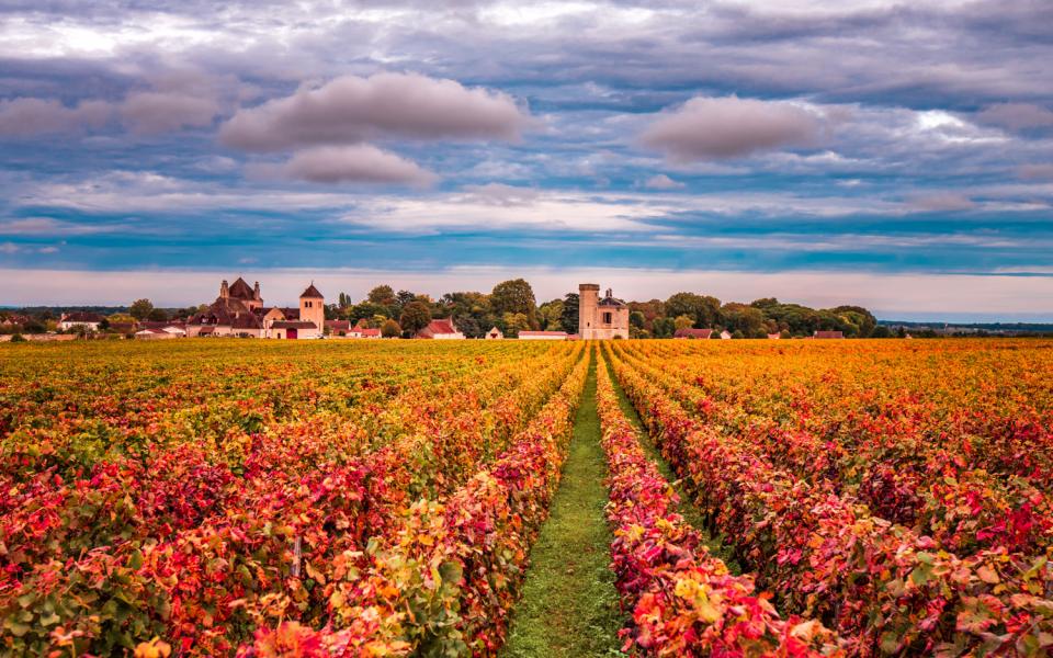 Dijon côte d'or vacances ancv