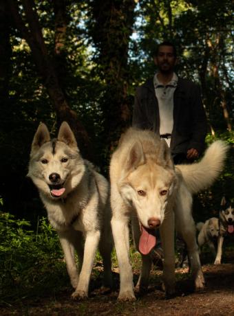 dream of snow cheque vacances