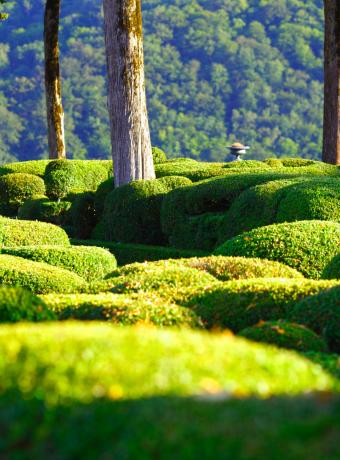 jardin de marqeyssac