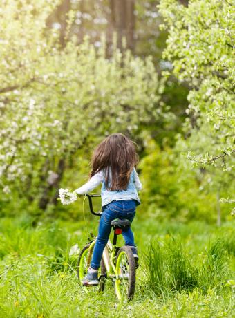 Normandie a vélo route des fruits