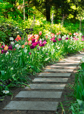 balade bucolique ancv