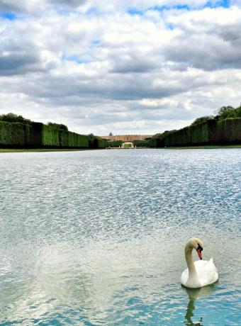 Château Versailles parc visite ANCV
