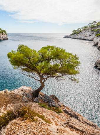 Les Calnques Marseille