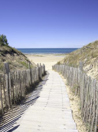nouvelle-aquitaine Ile de ré