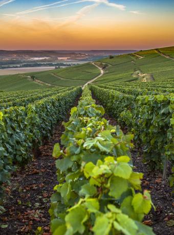 reims champagne ancv