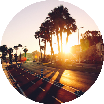 Un flamenco à la belle Andalouse 