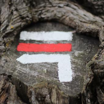 Suivre les sentiers balisés