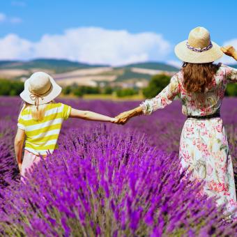 Occupez vous de votre tribu ANCV