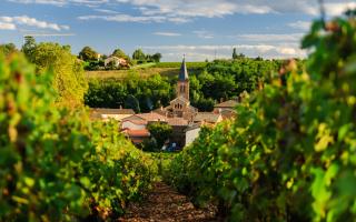 Restaurant La Maison du Terroir Beaujolais Chèque-Vacances
