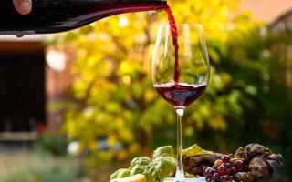 Restaurant le beaujolais chèque-vacances