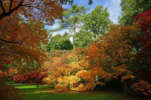 visiter les jardins japonais à paris ANCV